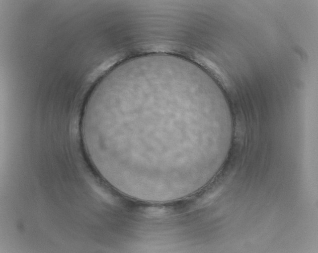 X0000115030394200911231117