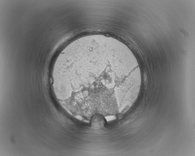 X0000115030396200911231117