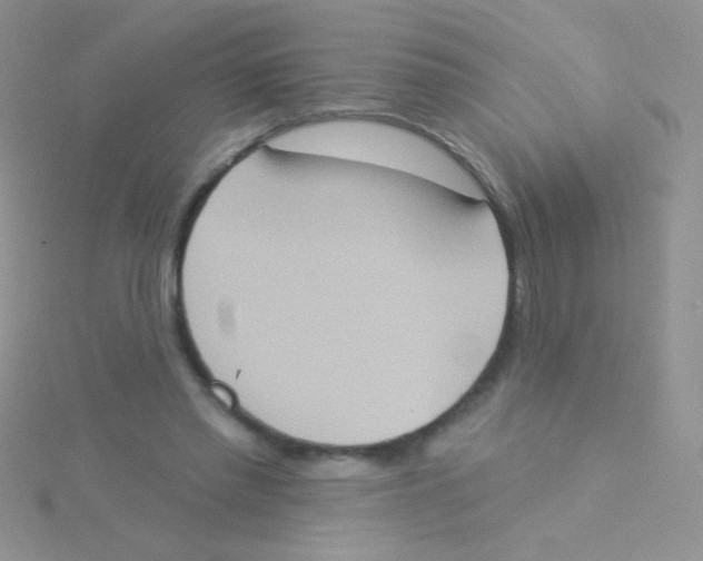 X0000115030397200911231117