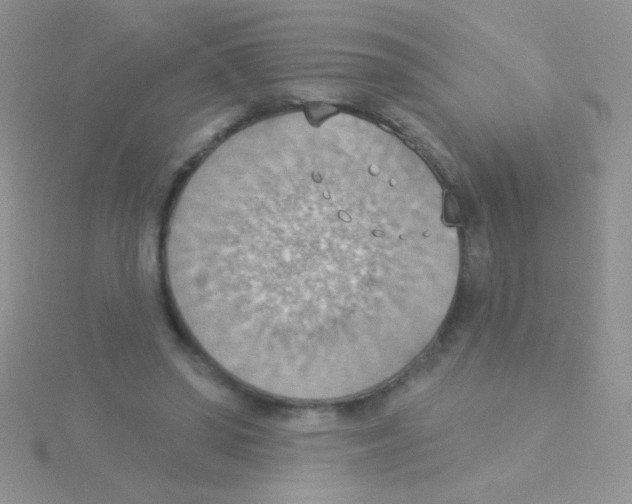 X0000115030398200911231117