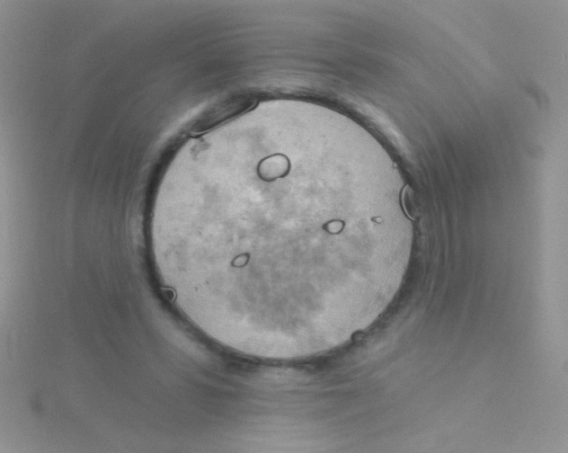 X0000115030399200911231117