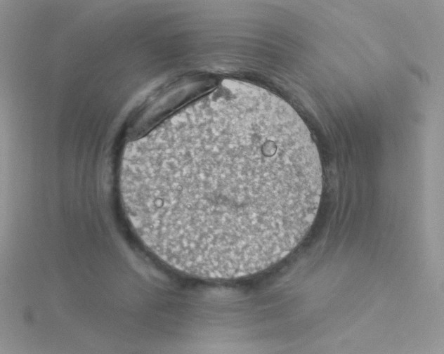 X0000115030400200911231117