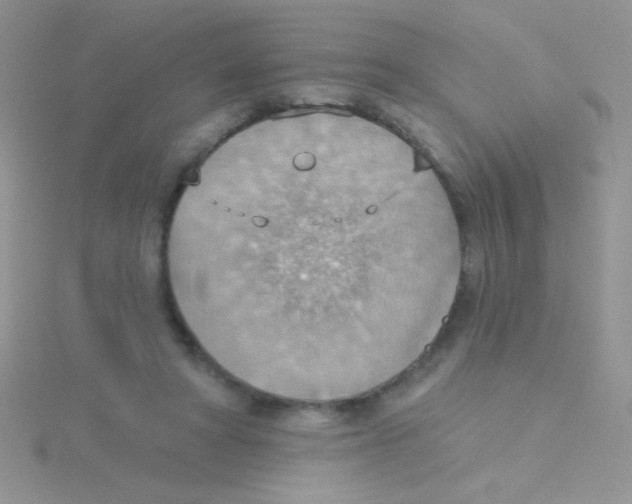 X0000115030402200911231116