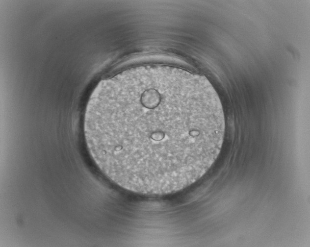 X0000115030404200911231116