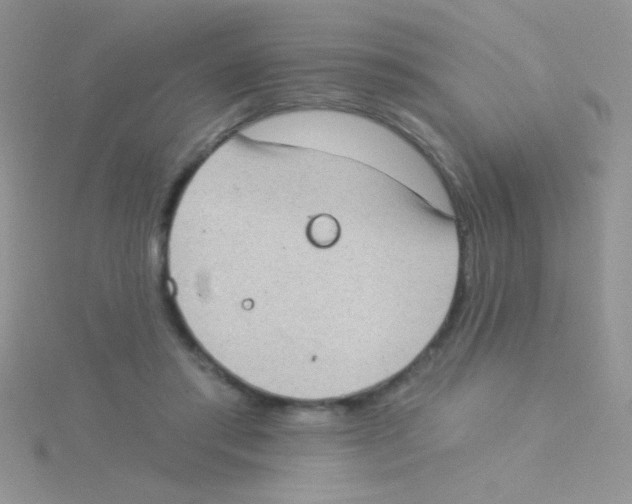 X0000115030405200911231116