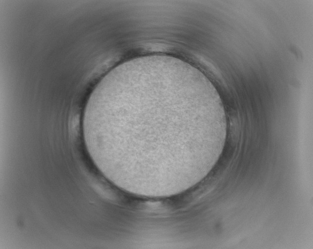 X0000115030406200911231116