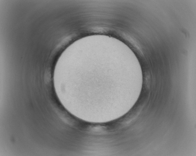 X0000115030407200911231116