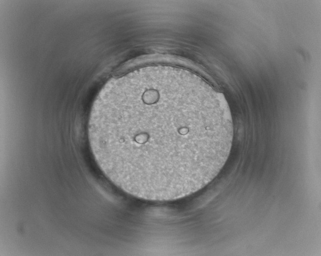 X0000115030408200911231116