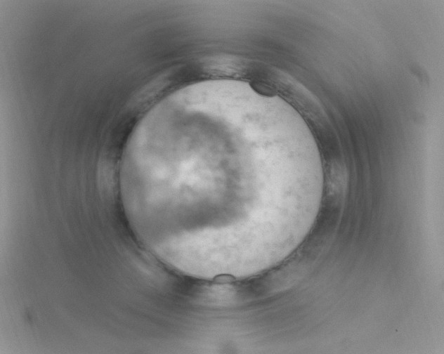 X0000115030409200911231116