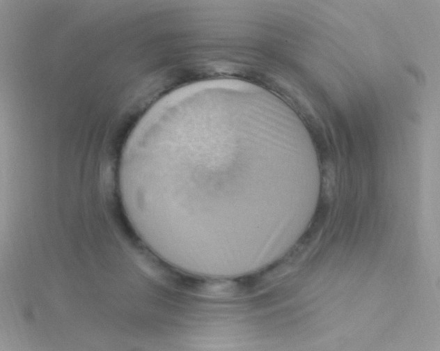 X0000115030410200911231116