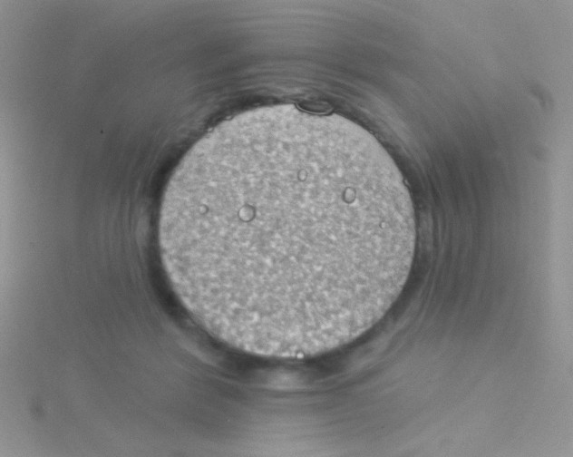 X0000115030412200911231116