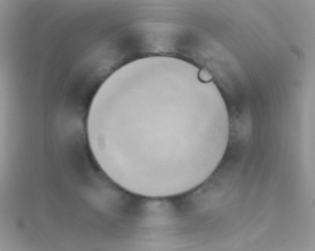 X0000115030415200911231116