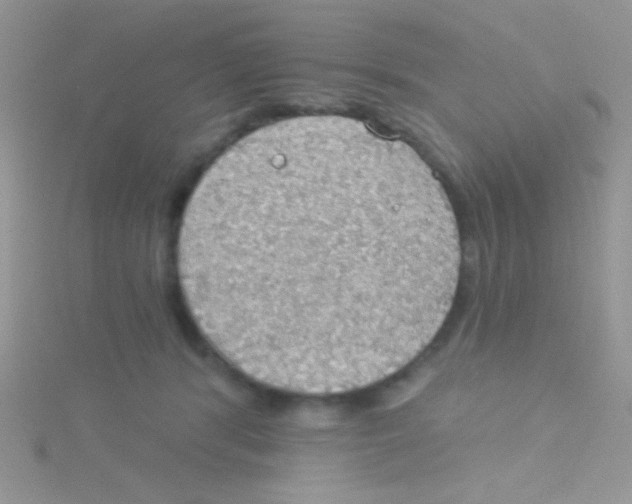 X0000115030416200911231116