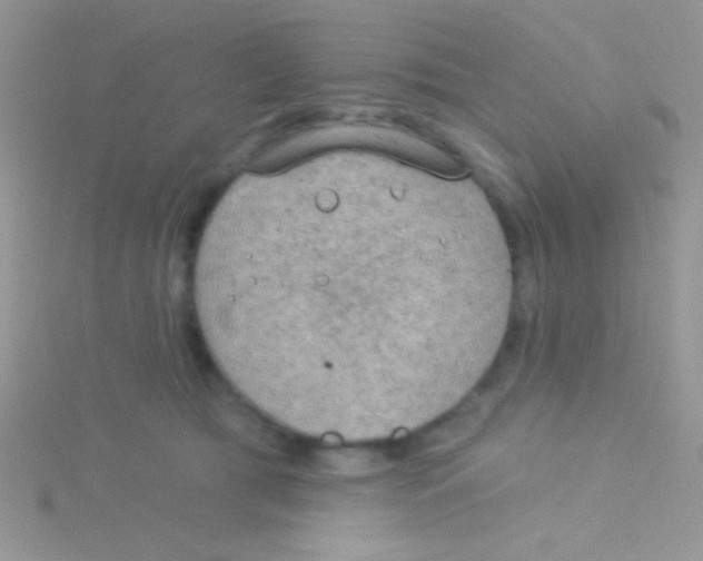 X0000115030417200911231116