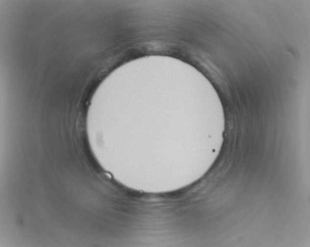 X0000115030419200911231116