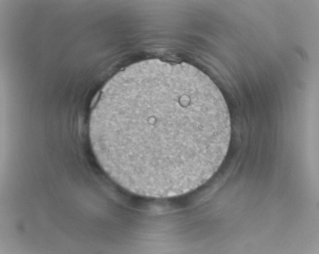 X0000115030420200911231116