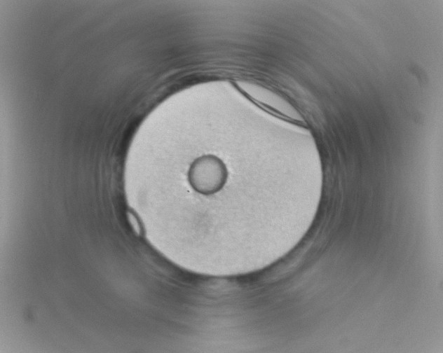 X0000115030421200911231116