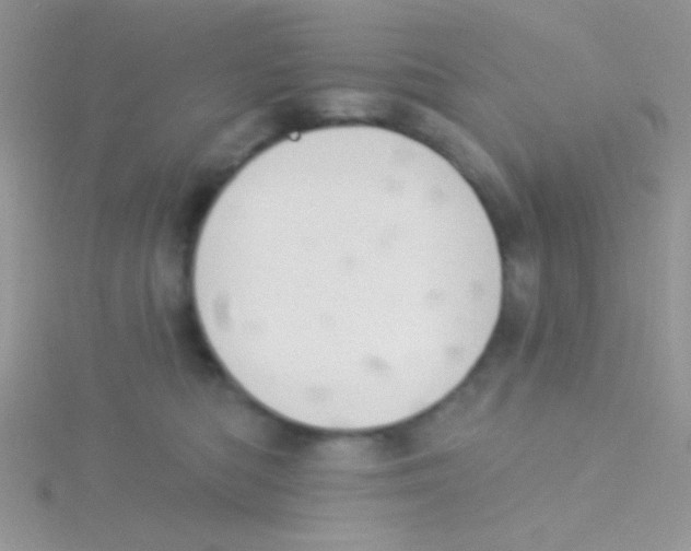 X0000115030422200911231116