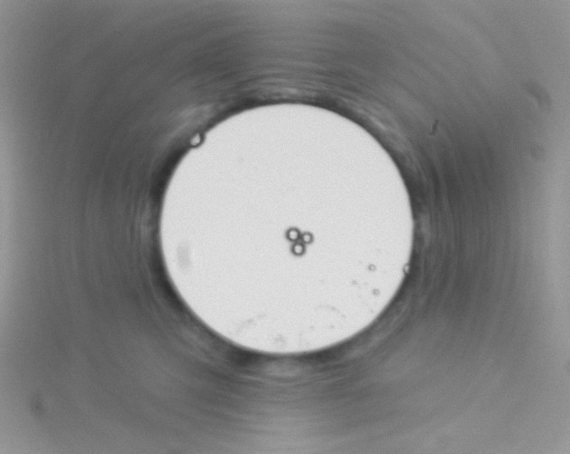 X0000115030423200911231116