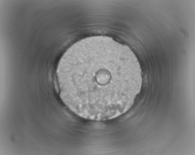 X0000115030424200911231116