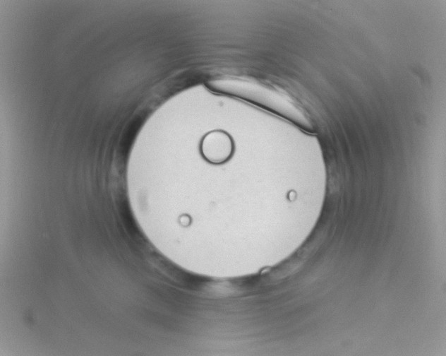 X0000115030425200911231116