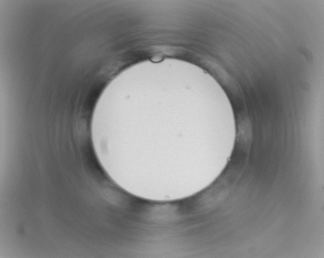 X0000115030426200911231116