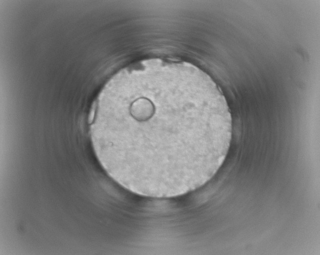 X0000115030428200911231116