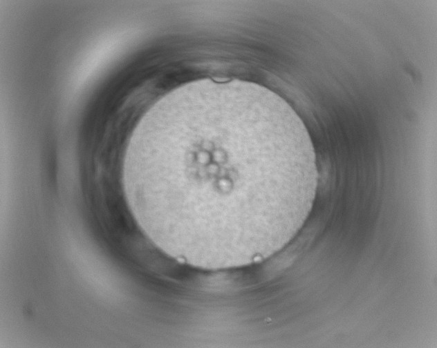 X0000115030430200911231116