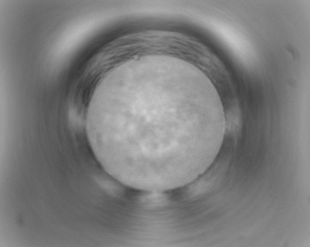 X0000115030431200911231116