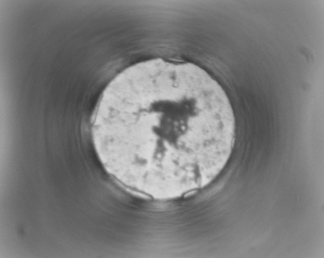 X0000115030432200911231116