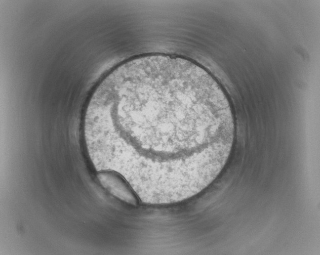 X0000115030434200911231115