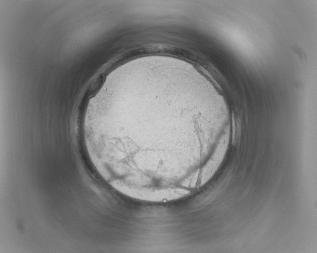 X0000115030435200911231116