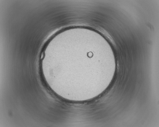 X0000115030436200911231116