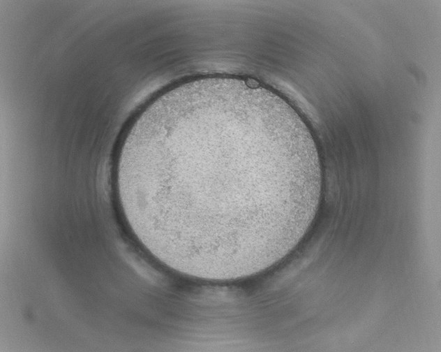 X0000115030439200911231116