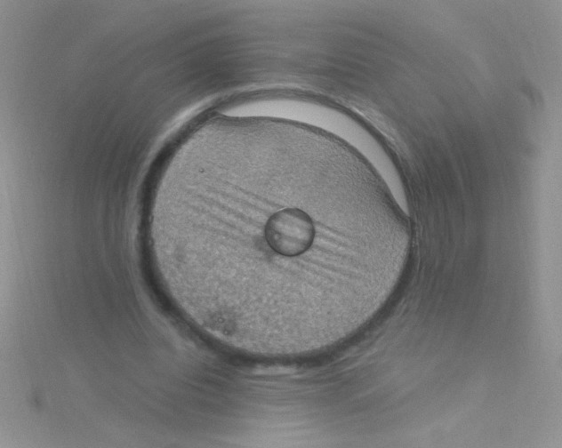 X0000115030440200911231116