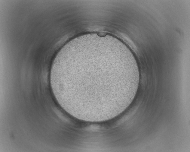 X0000115030441200911231116