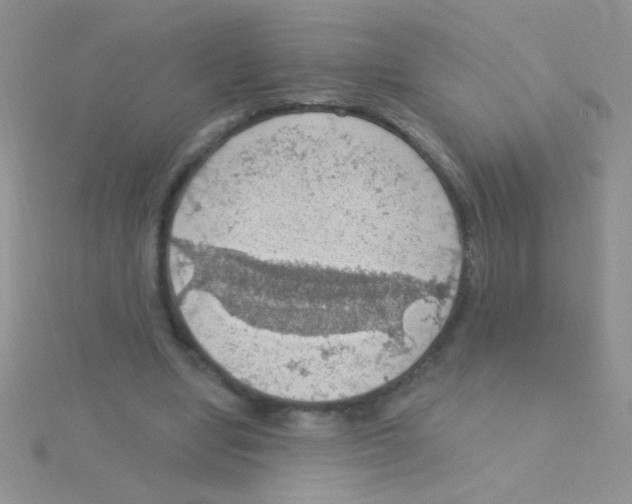 X0000115030442200911231116