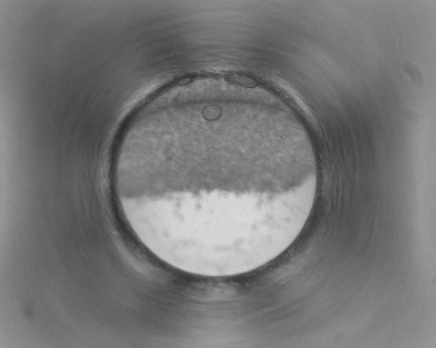 X0000115030443200911231116