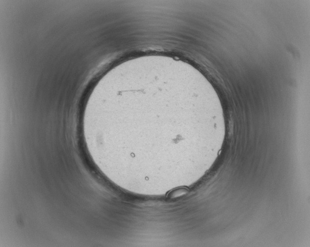 X0000115030444200911231116