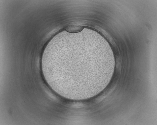 X0000115030445200911231116