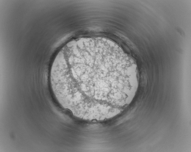 X0000115030446200911231116