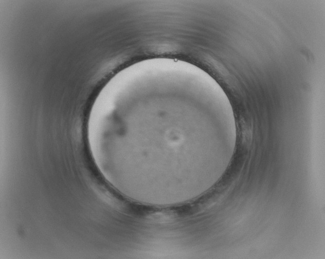 X0000115030447200911231116