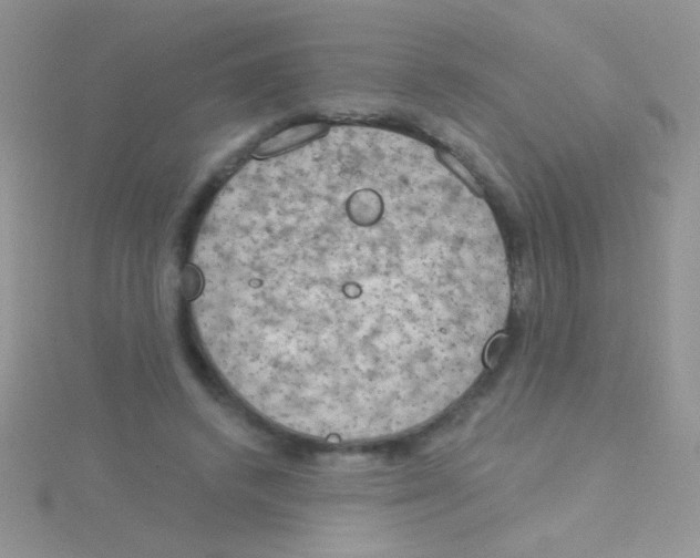 X0000115030448200911231116