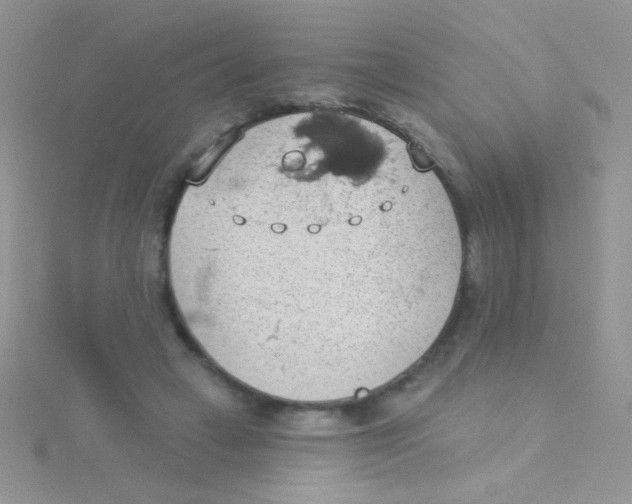 X0000115030449200911231116