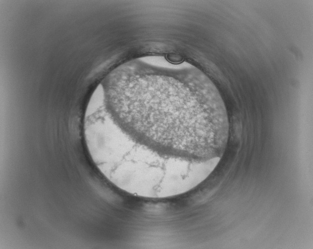 X0000115030450200911231116