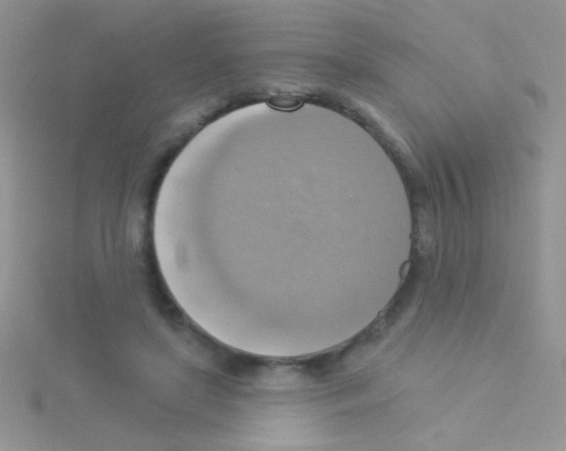 X0000115030451200911231116