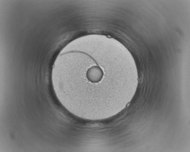 X0000115030452200911231116