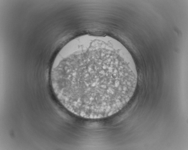 X0000115030454200911231116