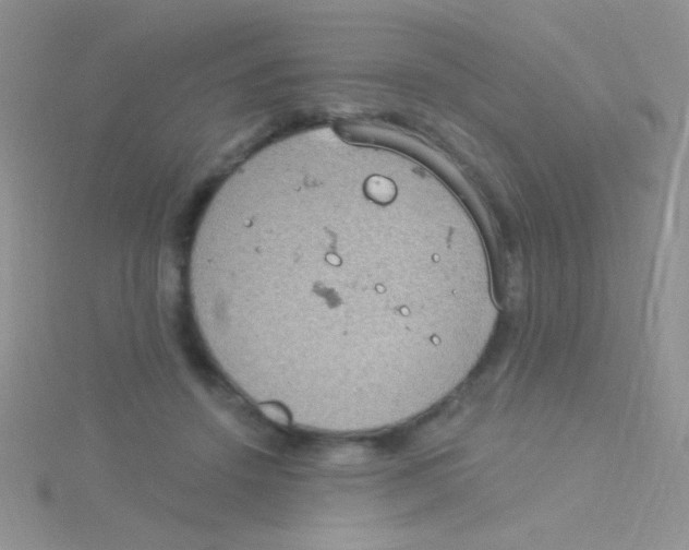 X0000115030456200911231116