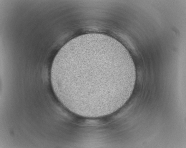 X0000115030457200911231116